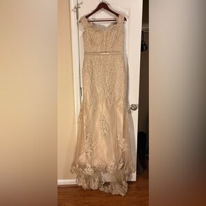 Wedding Dress/Formal Gown; Champagne, Embroidered Lace